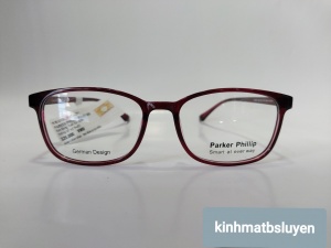 gọng kính pp 8090 SBG